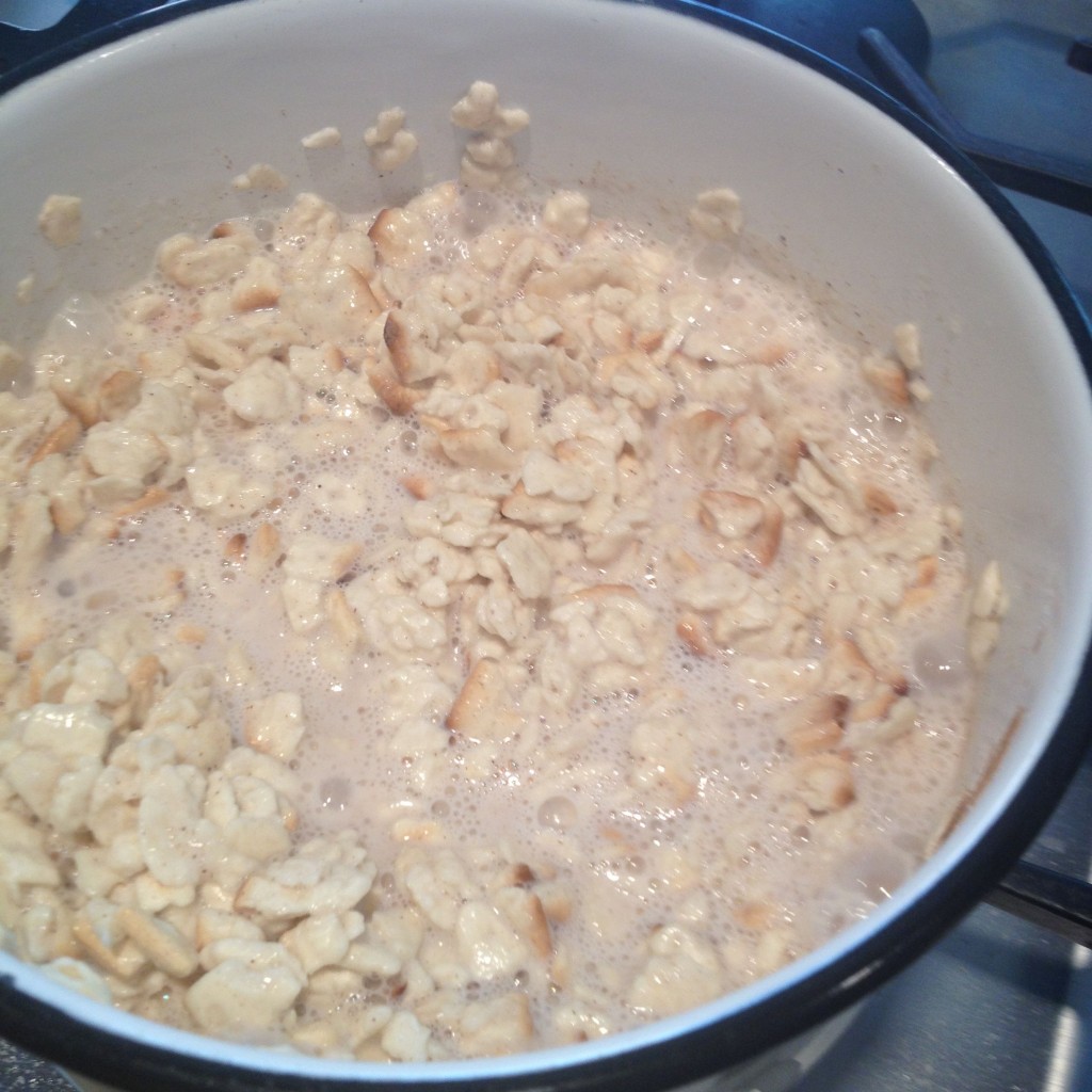 Passover Matzo Farfel “Oatmeal” Tina Wasserman